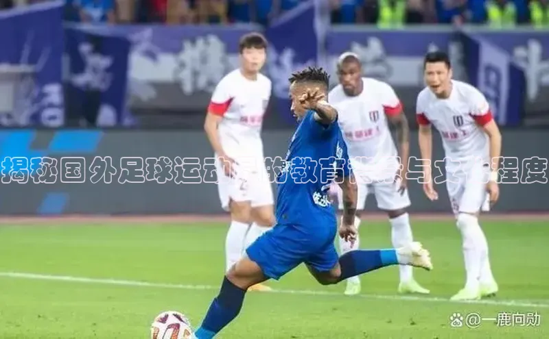 28圈平台链接华策影视