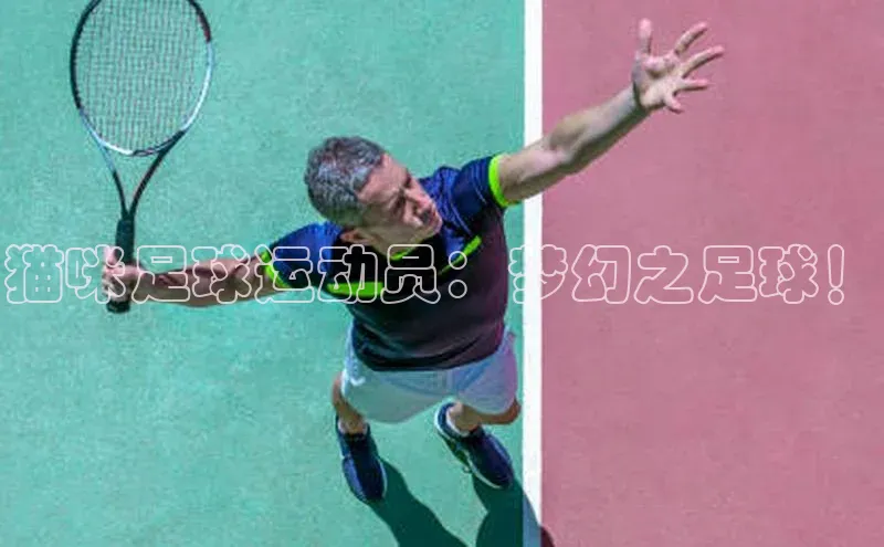 28圈平台官网版下载字节跳动