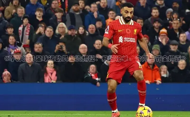 加拿大28圈.ccm百度识图