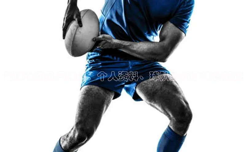 28圈.ccmpc百度手机助手