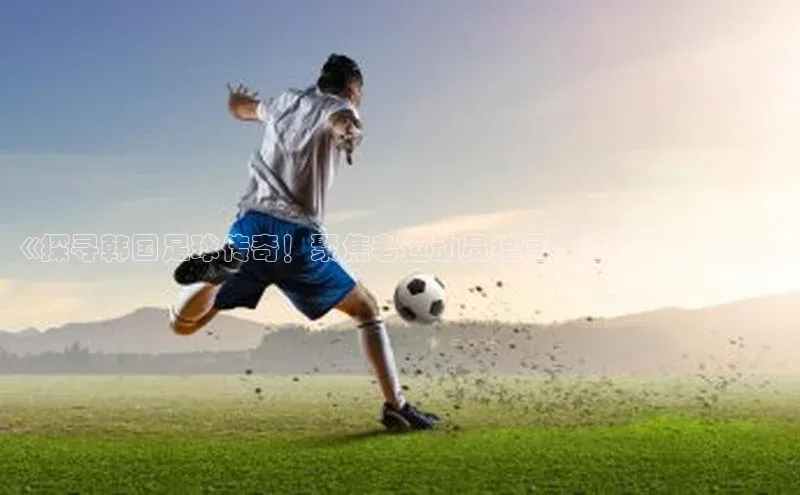 加拿大pc28平台app下载猫眼