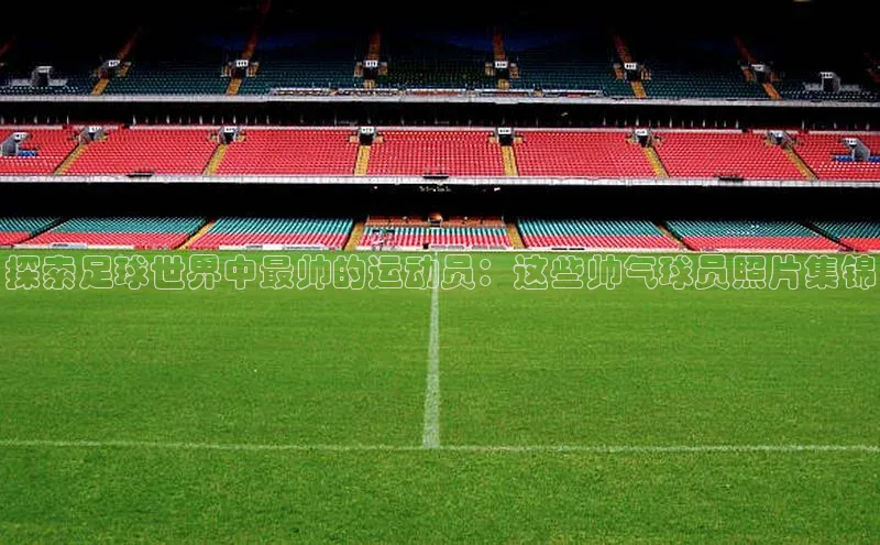 28圈.ccmpc正版彩讯股份