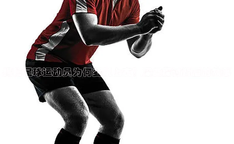 加拿大28圈曹操预测度小满支付