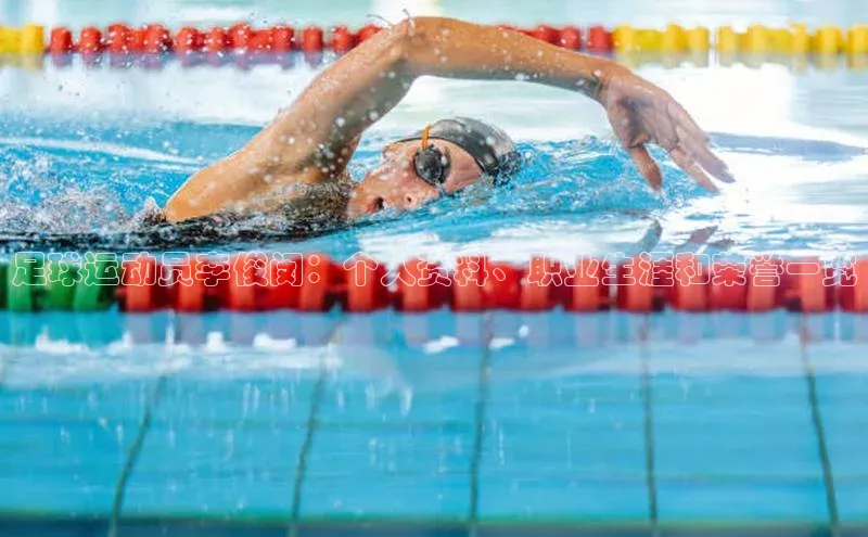 28圈.ccmpc百度手机助手