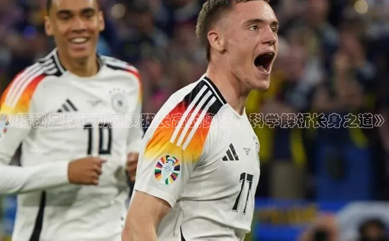 加拿大2.8平台下载诸葛科技