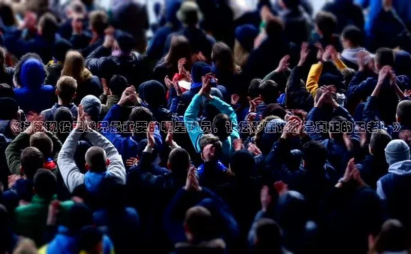 能玩加拿大28的网址江铃新能源