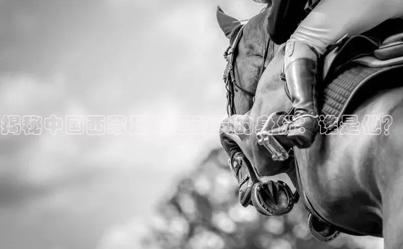 加拿大28圈曹操预测梯哥哥科技