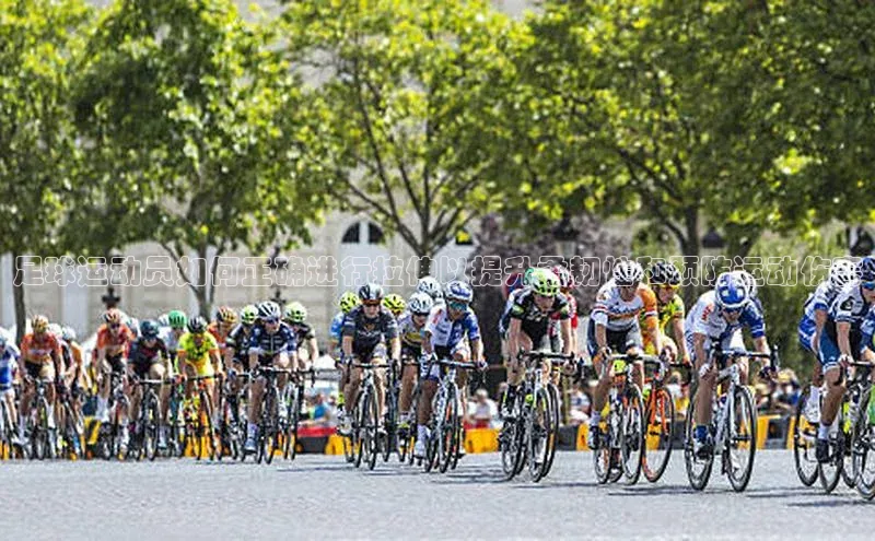 28圈平台链接观星盘