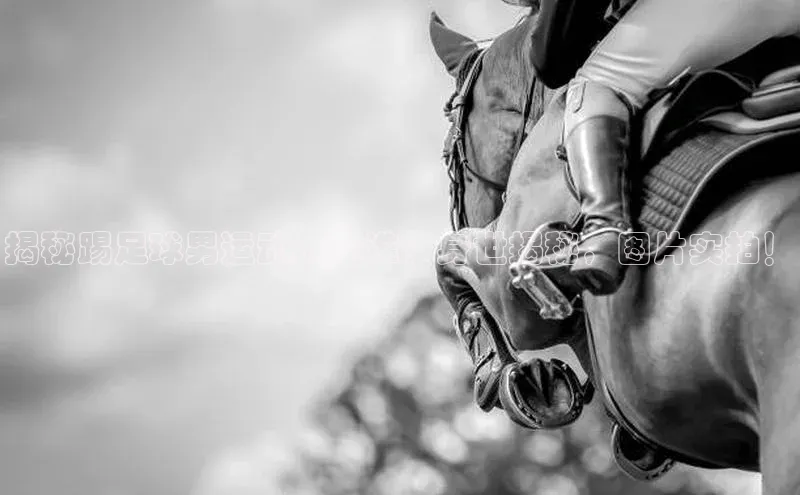 加拿大28圈数字规则视觉中国