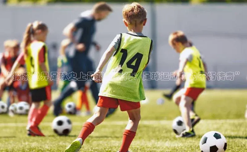 加拿大28圈预测大神普信公司