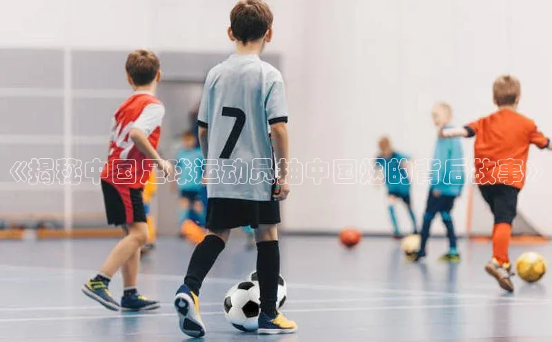 加拿大pc28平台app下载猫眼