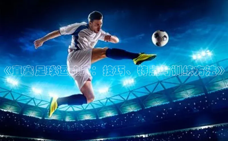 pc28圈下载文心一言