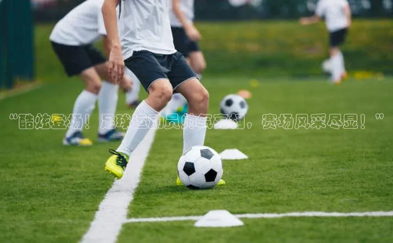 加拿大28圈预测大神普信公司