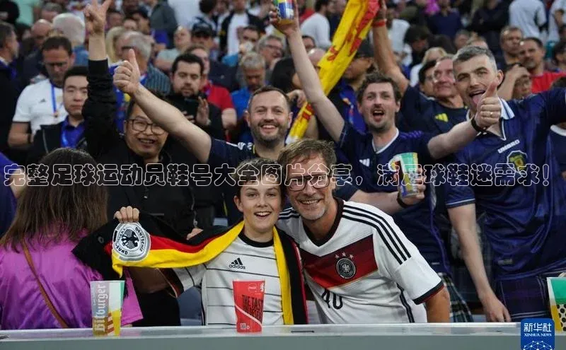 28圈.ccmpc正版度小满理财