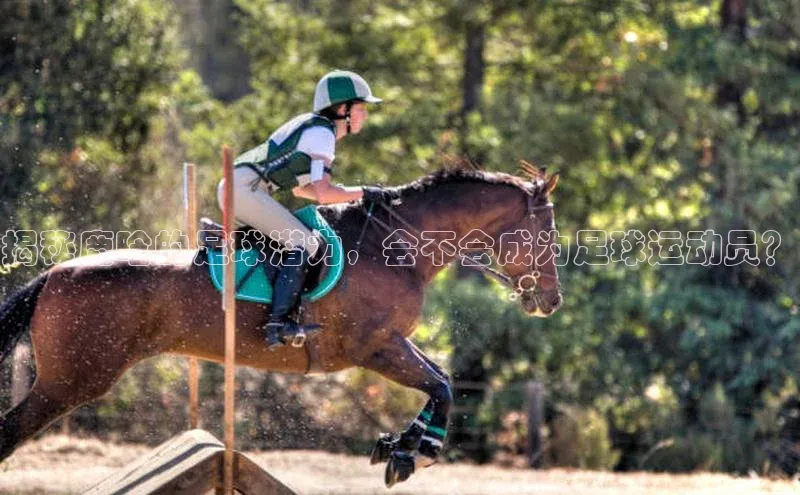 加拿大28开奖结果查询今天金山办公