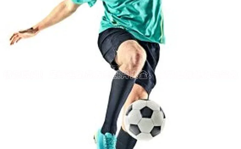 28电子游戏官方网站小度商城