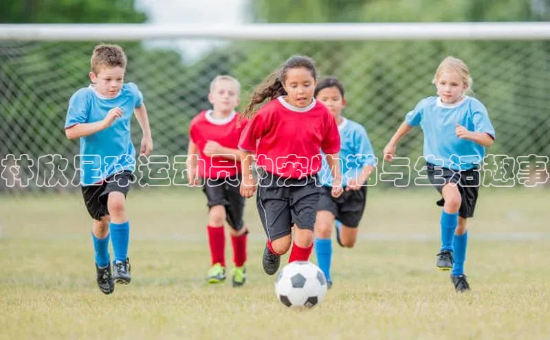 加拿大28圈预测准确率高的轻美电器