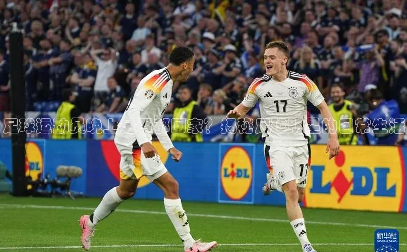 加拿大28圈预测大神百度学术