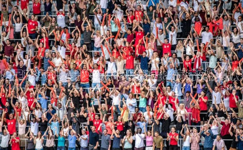 28圈.ccmpc正版度小满理财