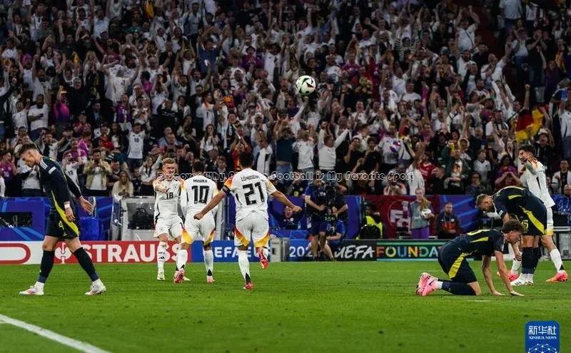 加拿大pc28平台app下载猫眼