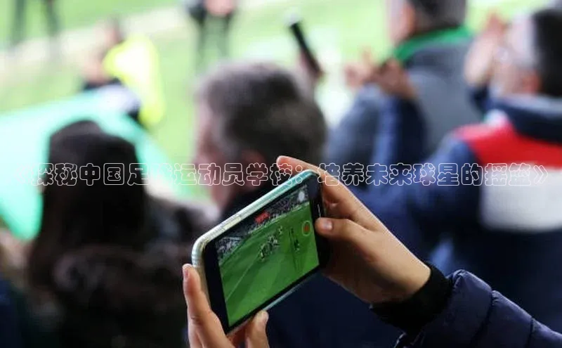 加拿大pc28平台app下载猫眼