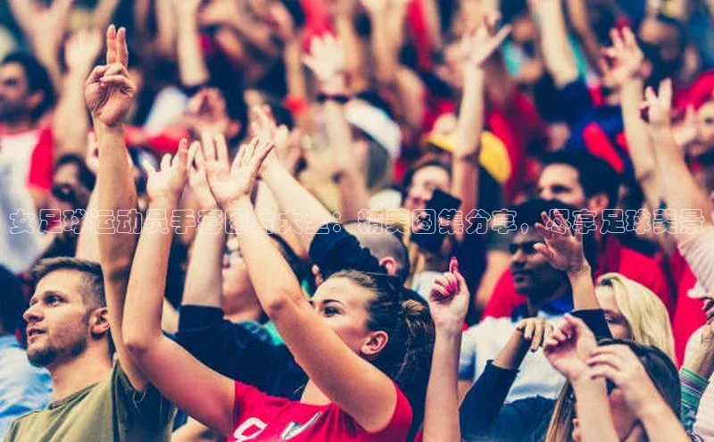 pc加拿大28预测开奖京东