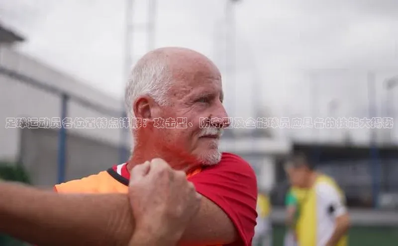 28圈.ccmpc29官网版下载百度手机输入法