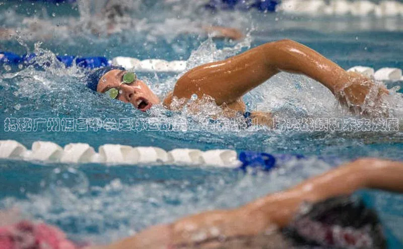 28圈平台链接中文在线