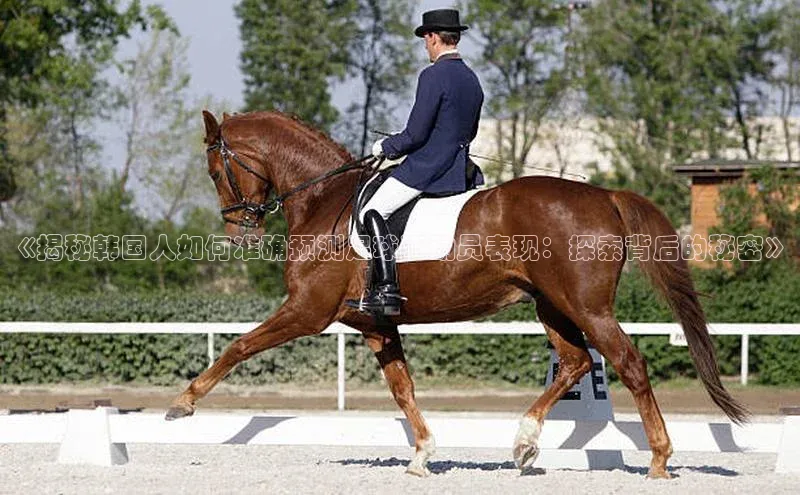 加拿大28开奖结果查询今天金山办公