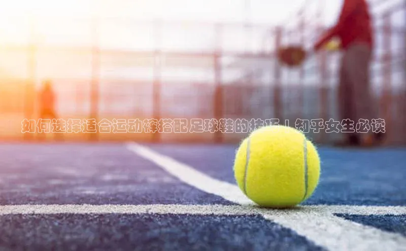 加拿大28圈下载百度翻译