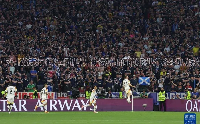 28圈.ccmpc29官网版下载百度手机输入法