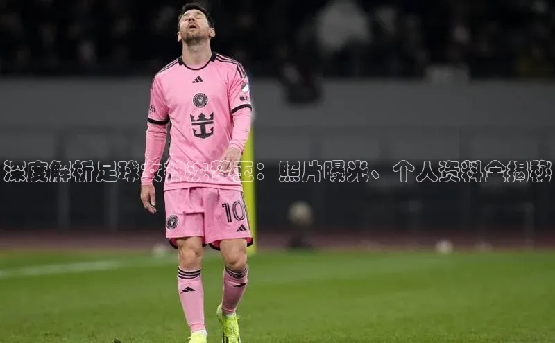 加拿大28圈下载百度翻译