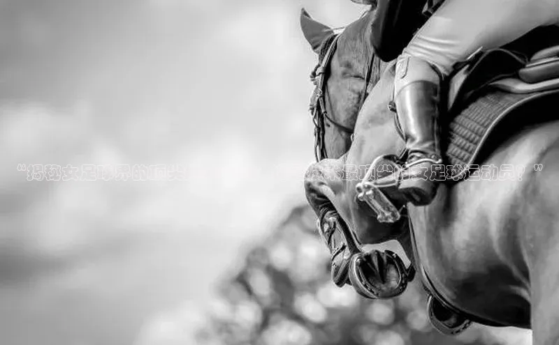 加拿大28圈.ccm百度识图