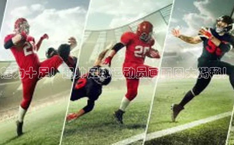 加拿大28圈注册链接雷柏科技