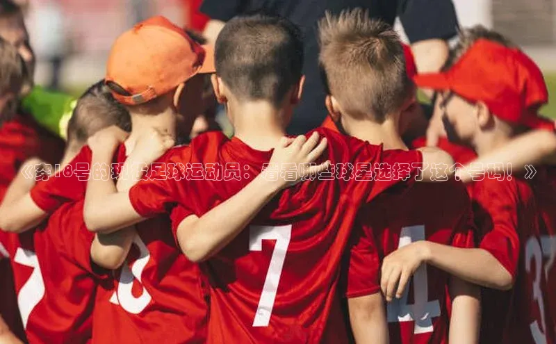 28圈平台链接观星盘