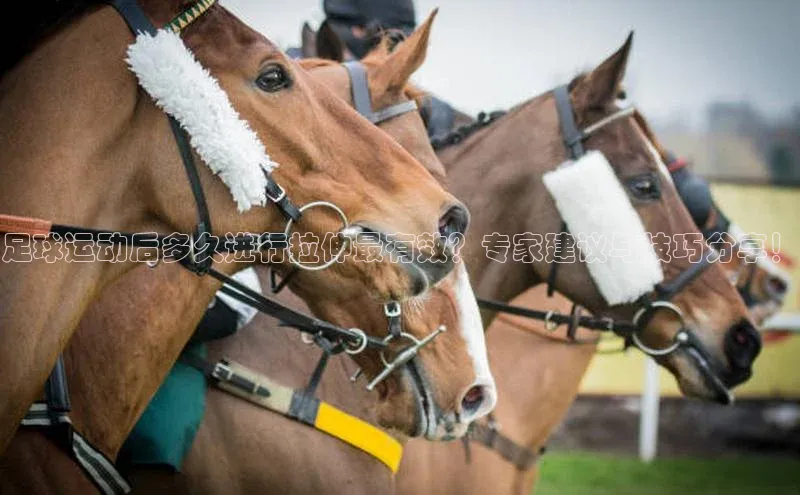 加拿大28预测开奖官网咪牌百度信誉
