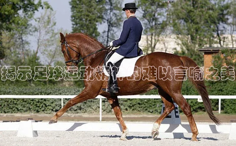 加拿大pc28平台app下载百度健康