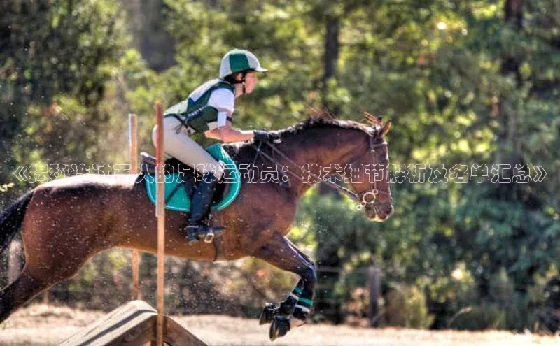 加拿大28圈预测准确率高的轻美电器