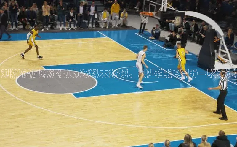 加拿大预测28在线预测官网网易