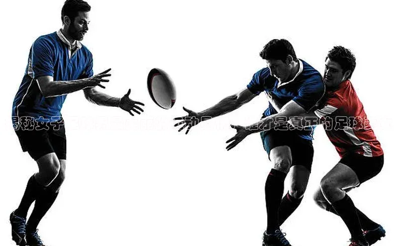 加拿大28圈app官网开奖结果顺丰