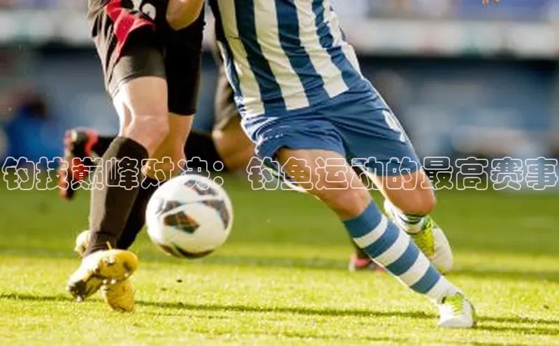 加拿大28圈下载美团