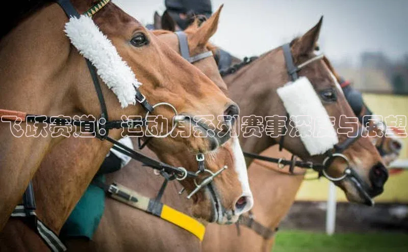 28圈.ccmpc正版度小满理财