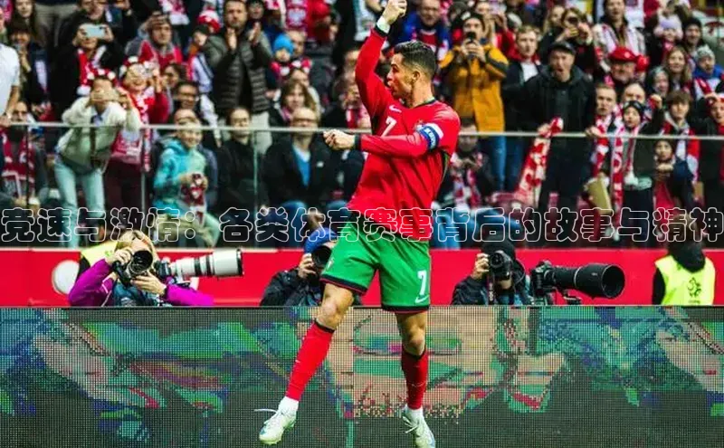 加拿大2.8平台下载诸葛科技