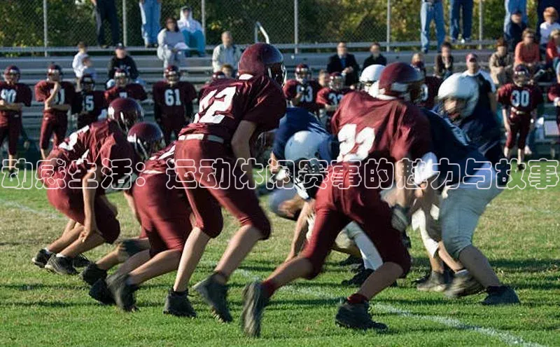 加拿大28圈最新版2023下载