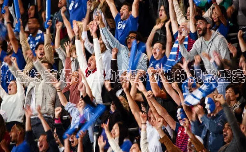 加拿大28圈下载