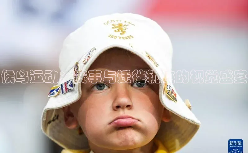 28圈app注册地址