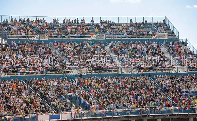 加拿大28圈预测大神