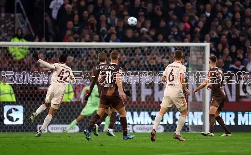 加拿大预测28在线预测官网