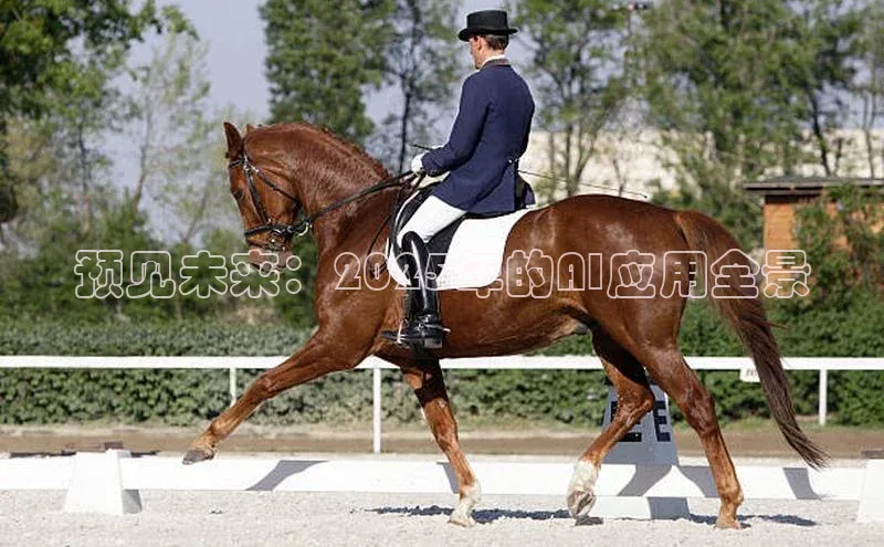 加拿大pc28平台app下载